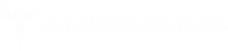 AnakinExpress